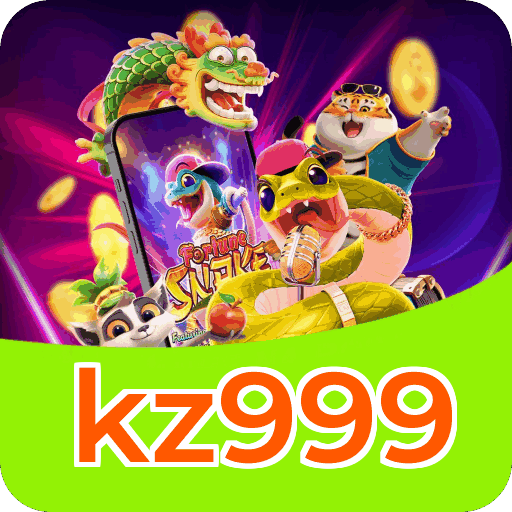 Interface kz999